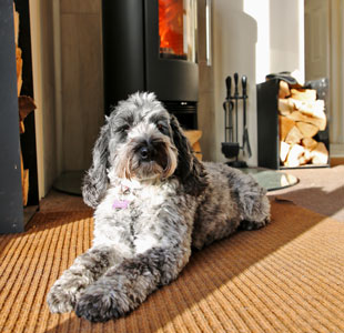 Stove Showroom Devon